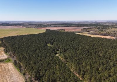 529 DJI 20250325151336 0006 D