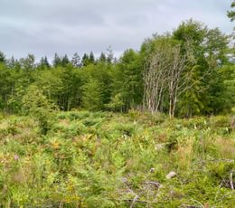 52 IMG 20260708 104103906 HDR
