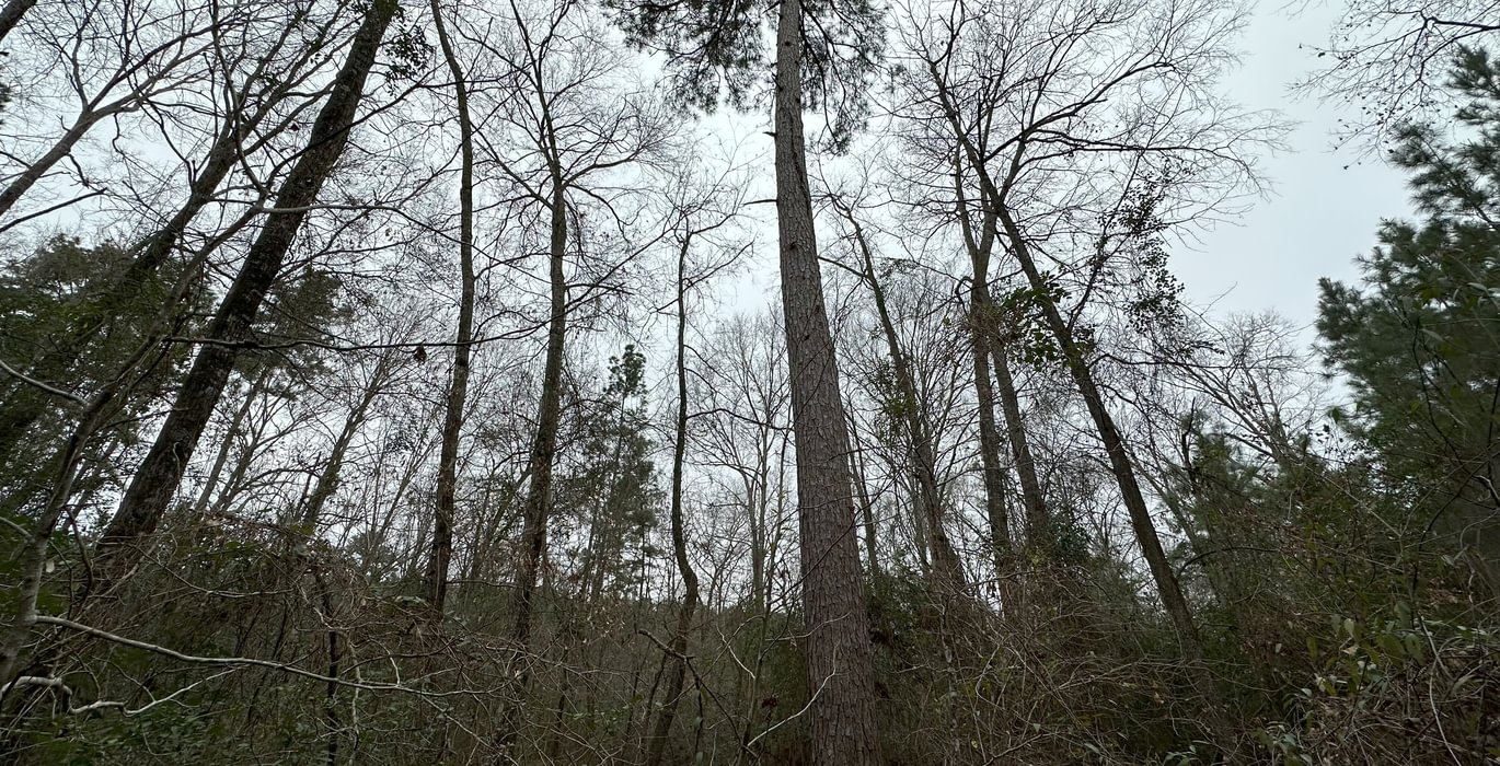52 IMG 5697