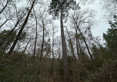 52 IMG 5697