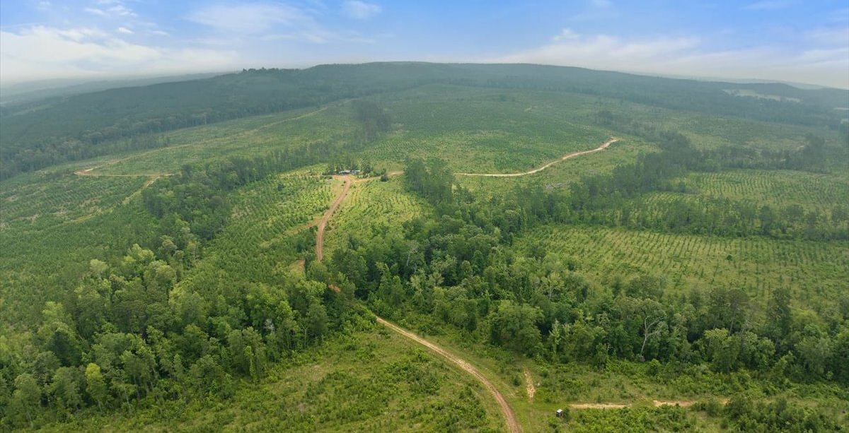Photo 20 of L Jordan, 574 acres, Cherokee County, Texas