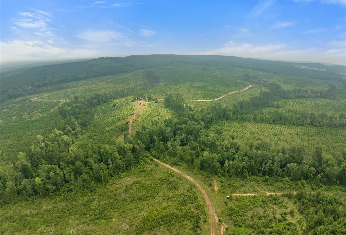 Photo 20 of L Jordan, 574 acres, Cherokee County, Texas