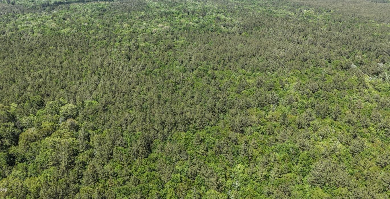 530 DJI 20260415144111 0147 D