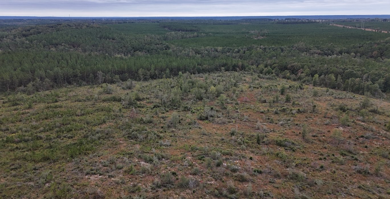 531 DJI 20251030125357 0044 D