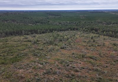 531 DJI 20251030125357 0044 D