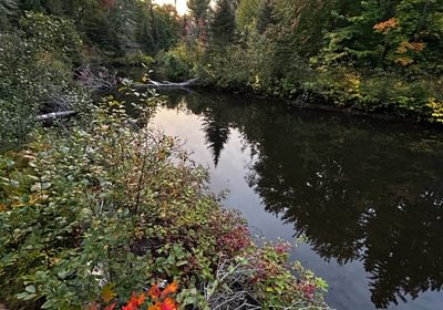 531 IMG 3394