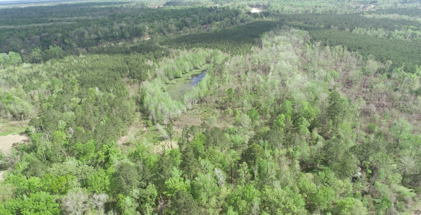 532 DJI 0183