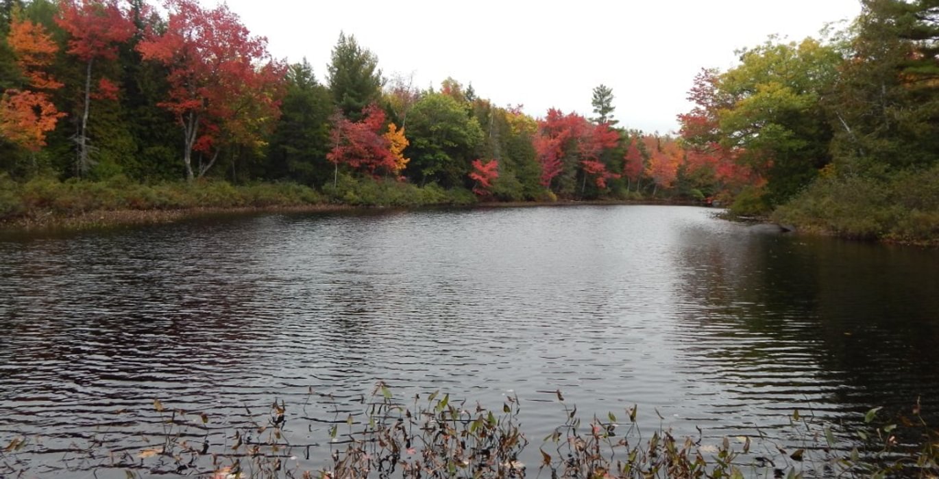 533 2017 10 08 Sherwood Pond south frontage