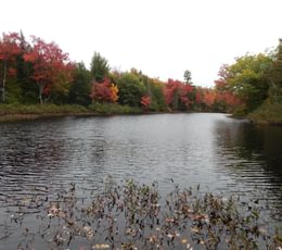 533 2017 10 08 Sherwood Pond south frontage