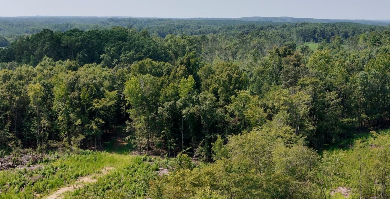 533 AFM Lambert Tract Photo 16