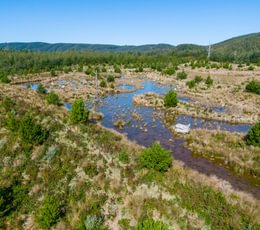 533 Wetland