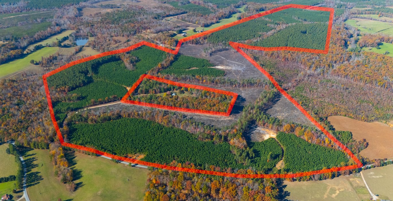 534 DJI 20251104135410 0056 D Edit 1