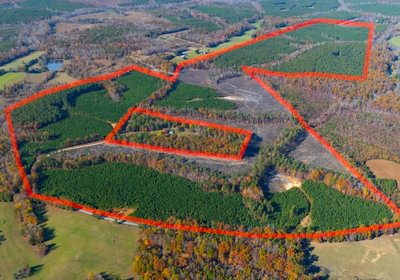 534 DJI 20251104135410 0056 D Edit 1