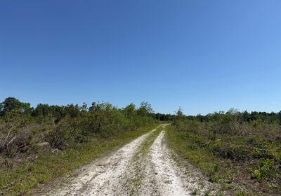 534 IMG 1829