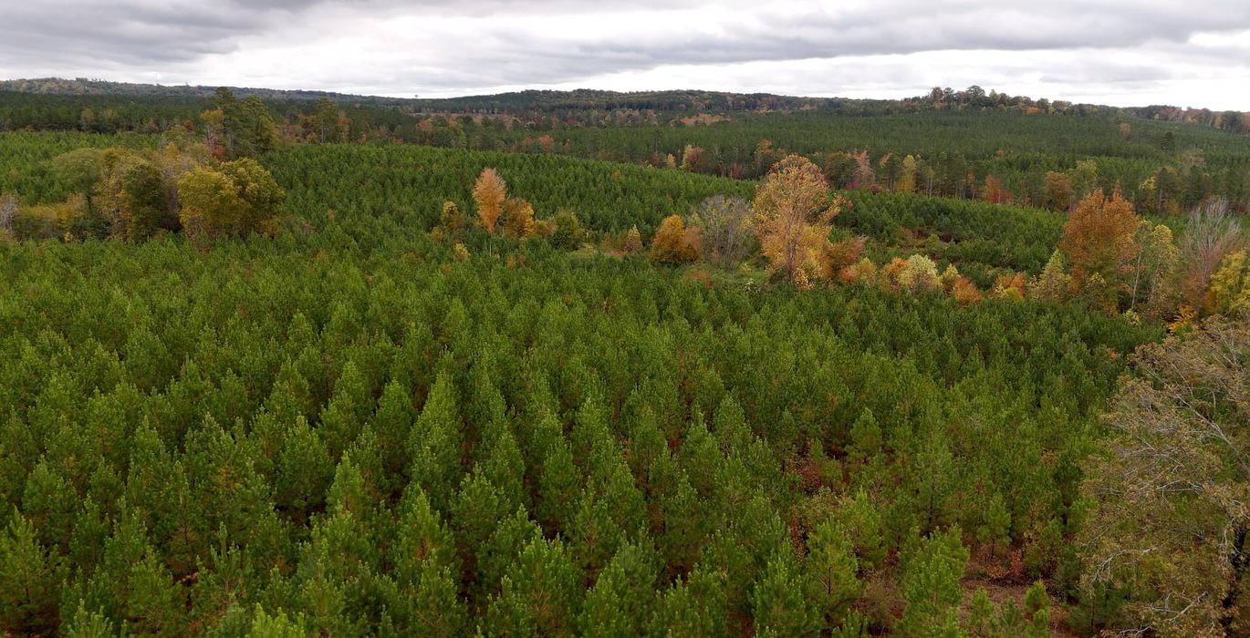 535 AFM Richmond 126 Tract Photo 16