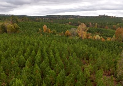 535 AFM Richmond 126 Tract Photo 16