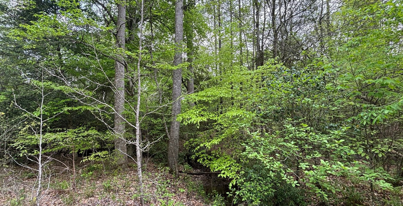 535 IMG 4910