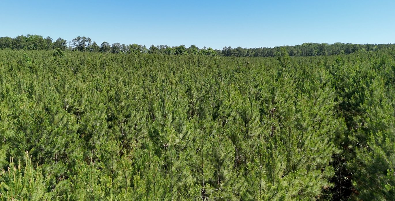 538 Horton Tract Photo 36