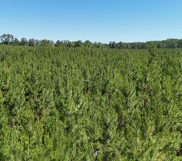 538 Horton Tract Photo 36