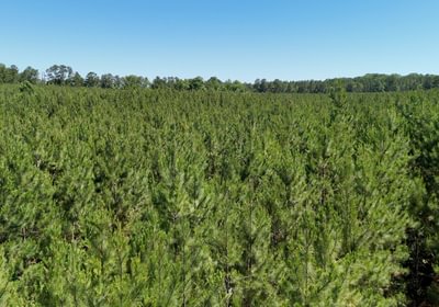 538 Horton Tract Photo 36