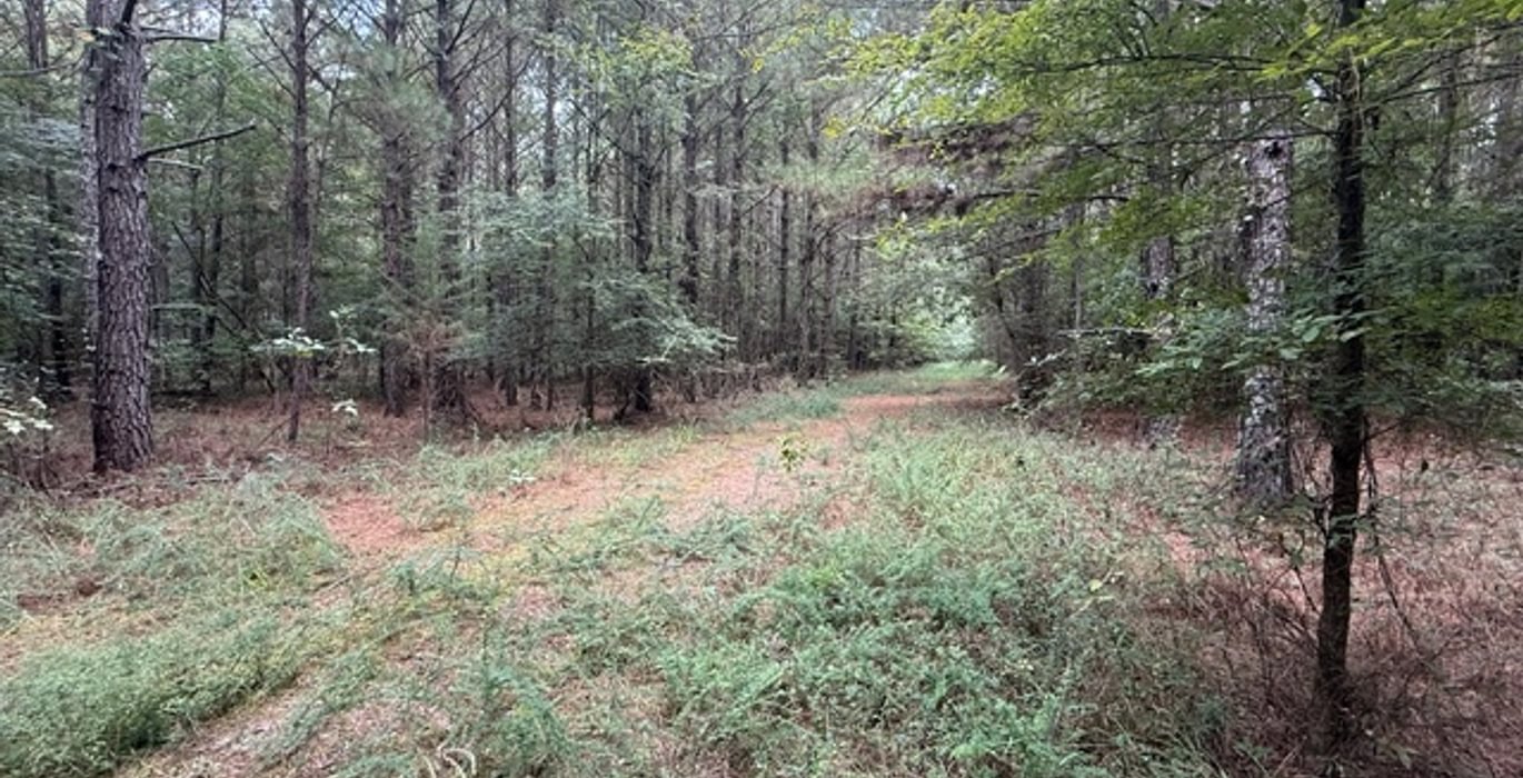 538 IMG 7887