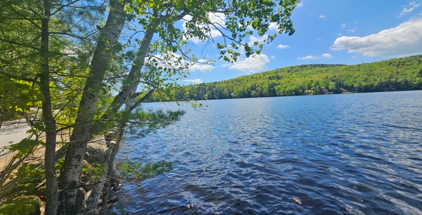 539 20260526 114650