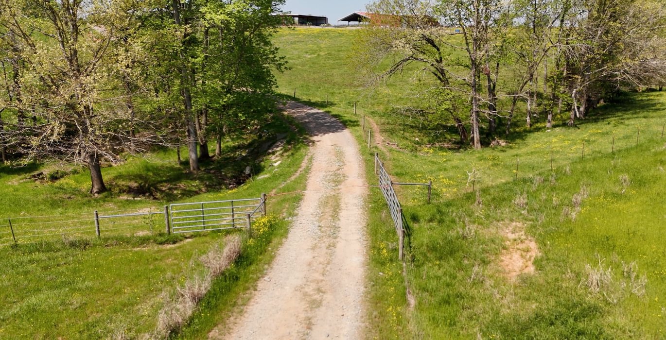 539 AFM Blue Q Ranch Photo 18