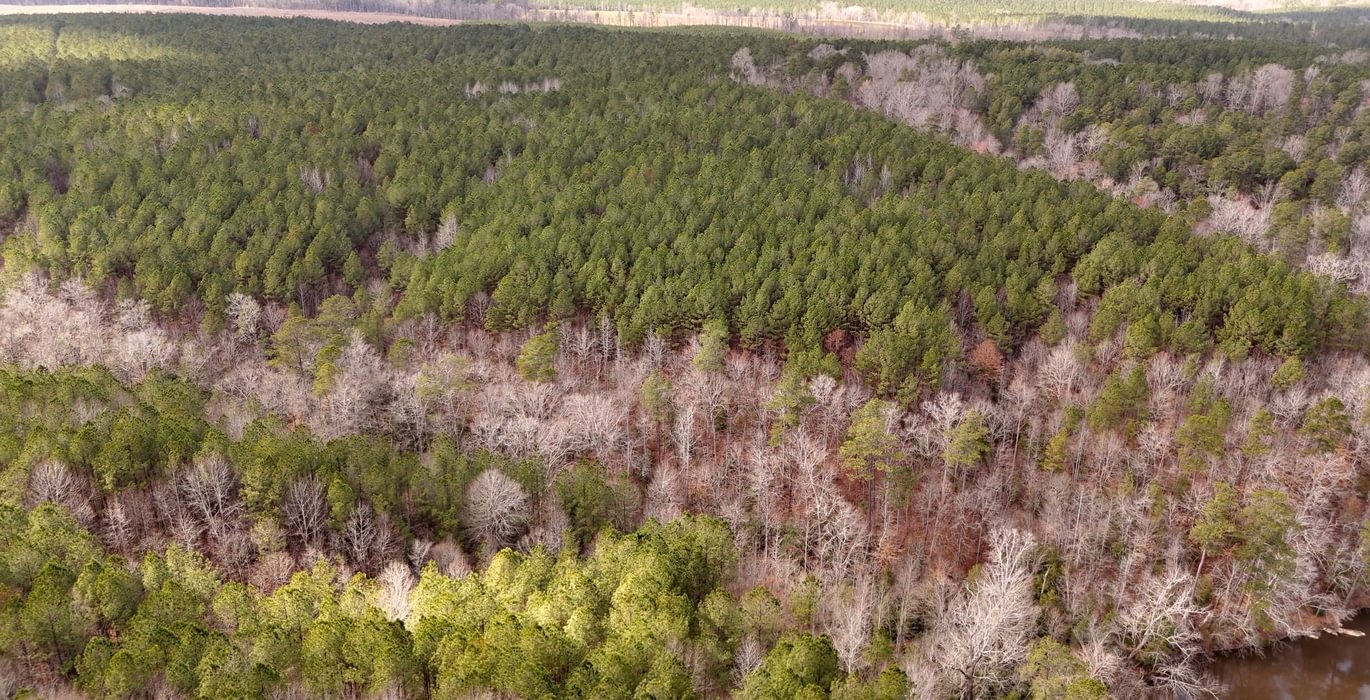 539 Pleasant Grove Road 2