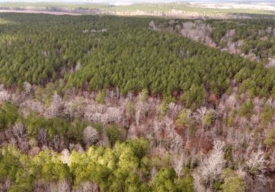 539 Pleasant Grove Road 2