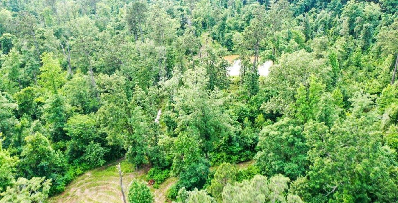 57 DJI 0155