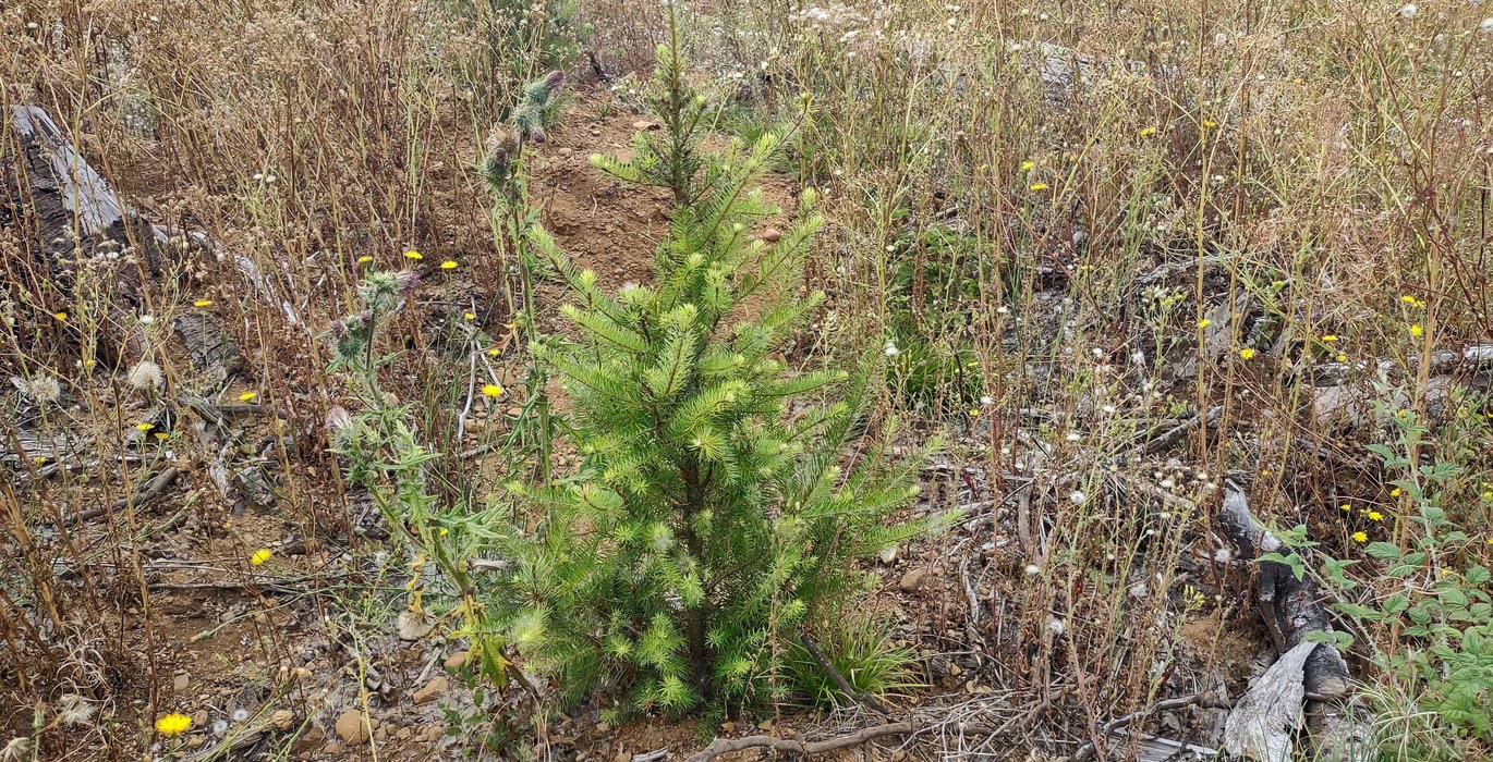 57 IMG 20250804 105042506 HDR