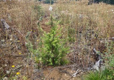 57 IMG 20250804 105042506 HDR