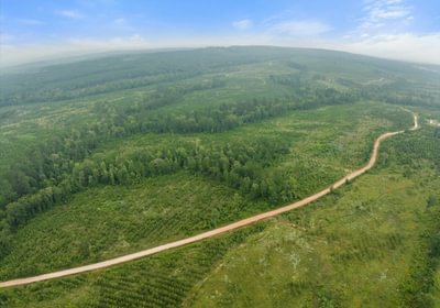 54 L Jordan Tract