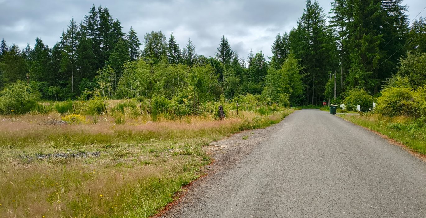 540 IMG 20260708 113048821 HDR