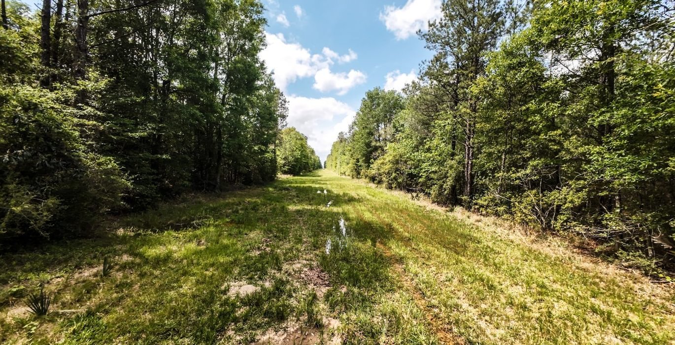 541 DJI 20250516215427 0063 D