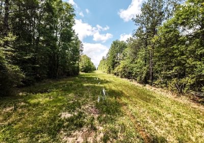 541 DJI 20250516215427 0063 D