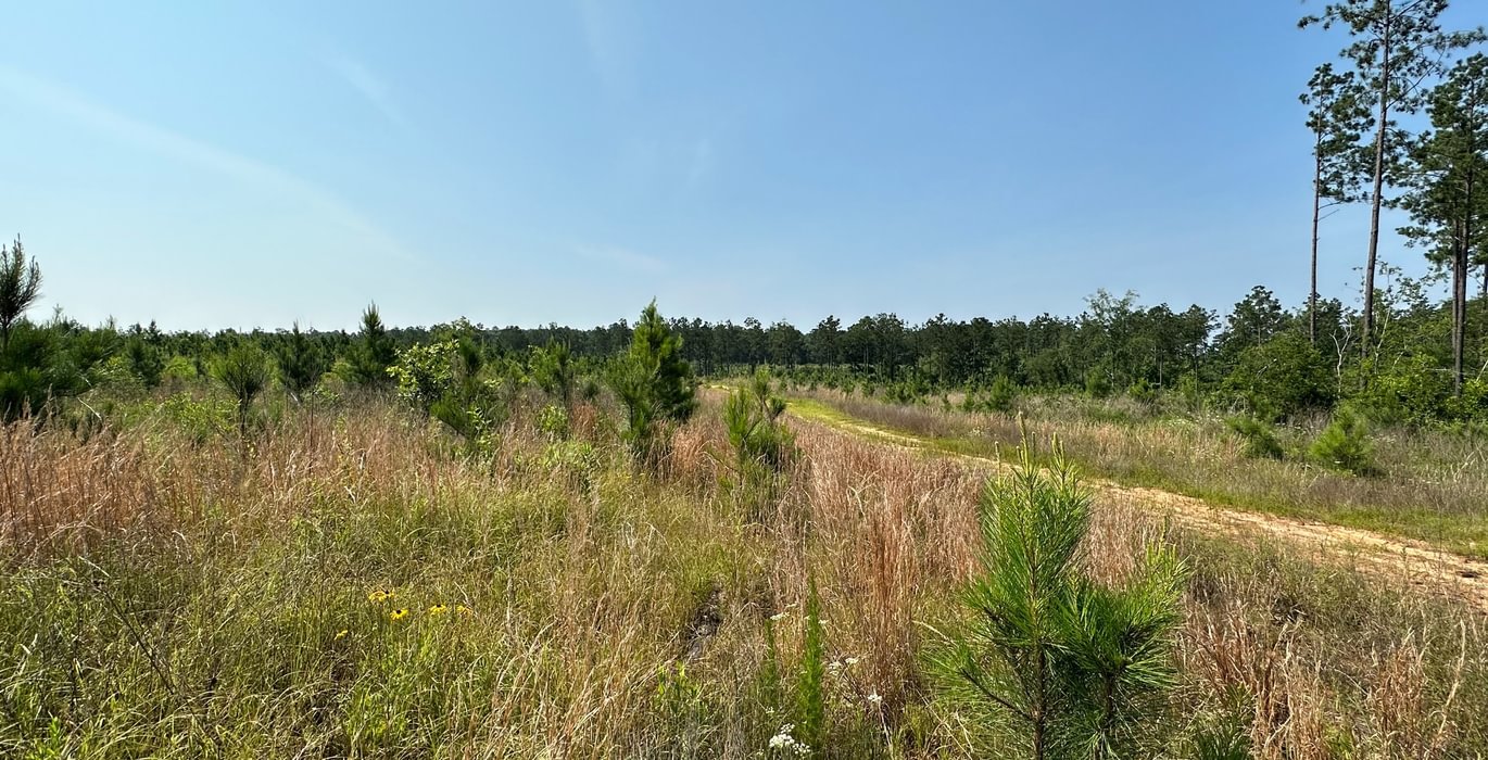 541 IMG 2747 3520