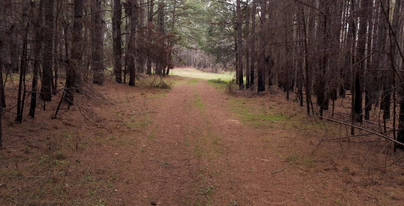 542 AFM West Fork 85 Photo 19