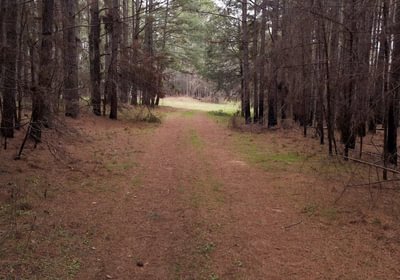 542 AFM West Fork 85 Photo 19