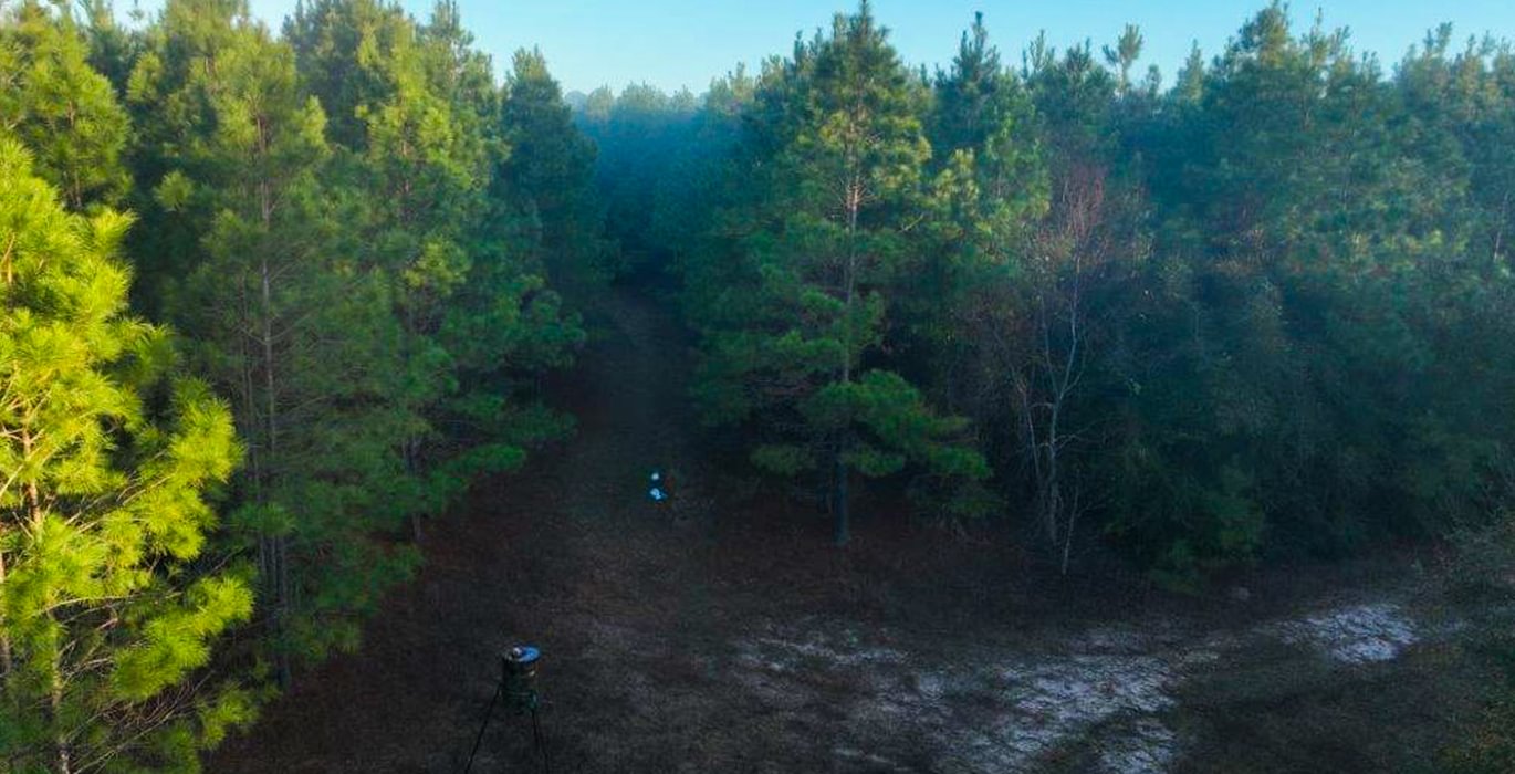 542 DJI 20250201074423 0034 V