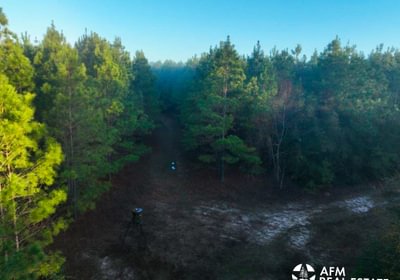 542 DJI 20250201074423 0034 V