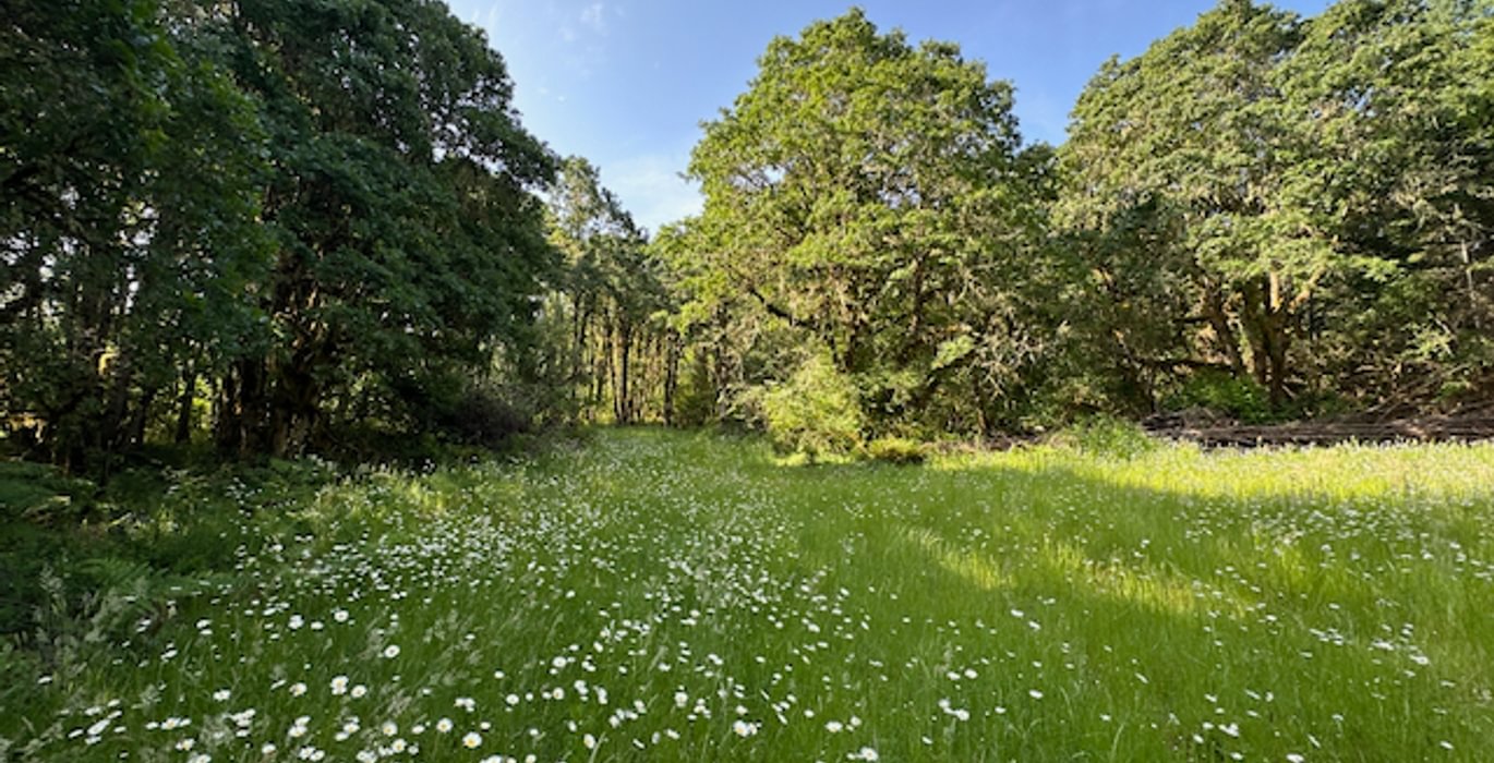 543 IMG 0695