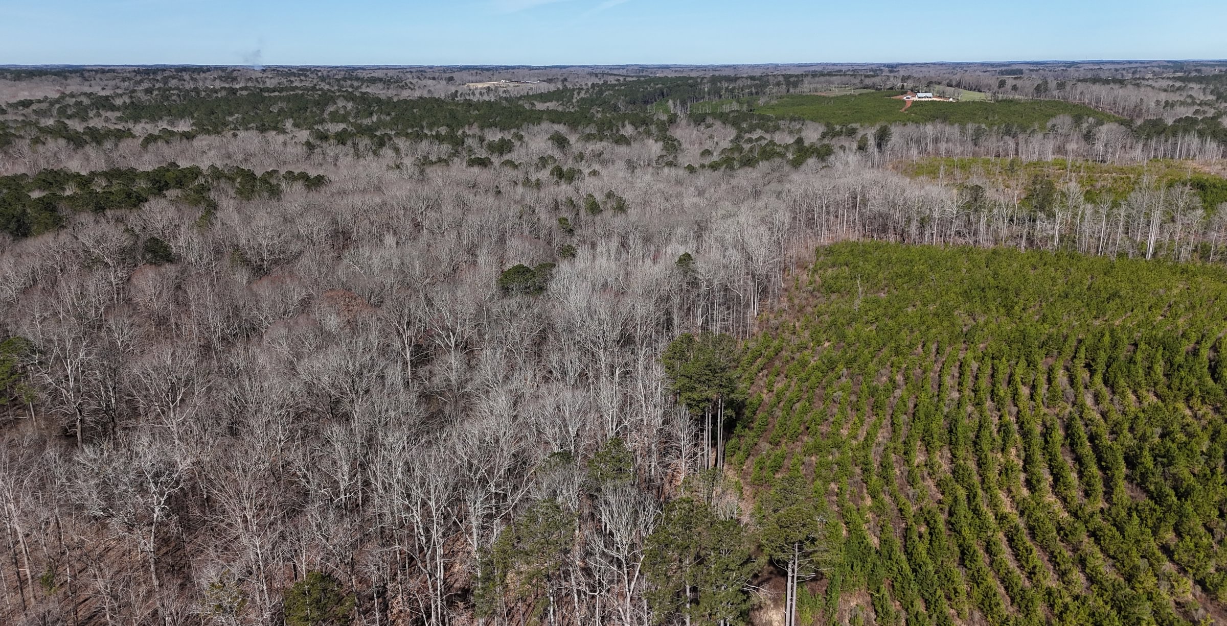 Photo 15 of Wolf Creek - Sportsman Tract, 182 acres, Jasper County, Georgia