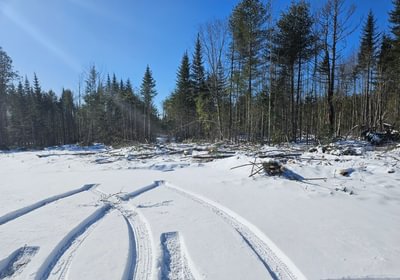 545 16 North seciton wood yard