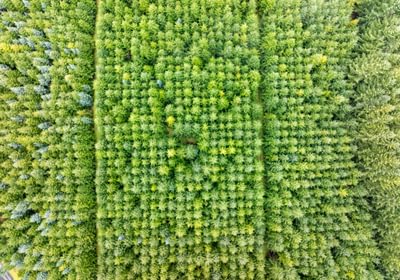 545 DJI 20260222111806 0067 D HLK