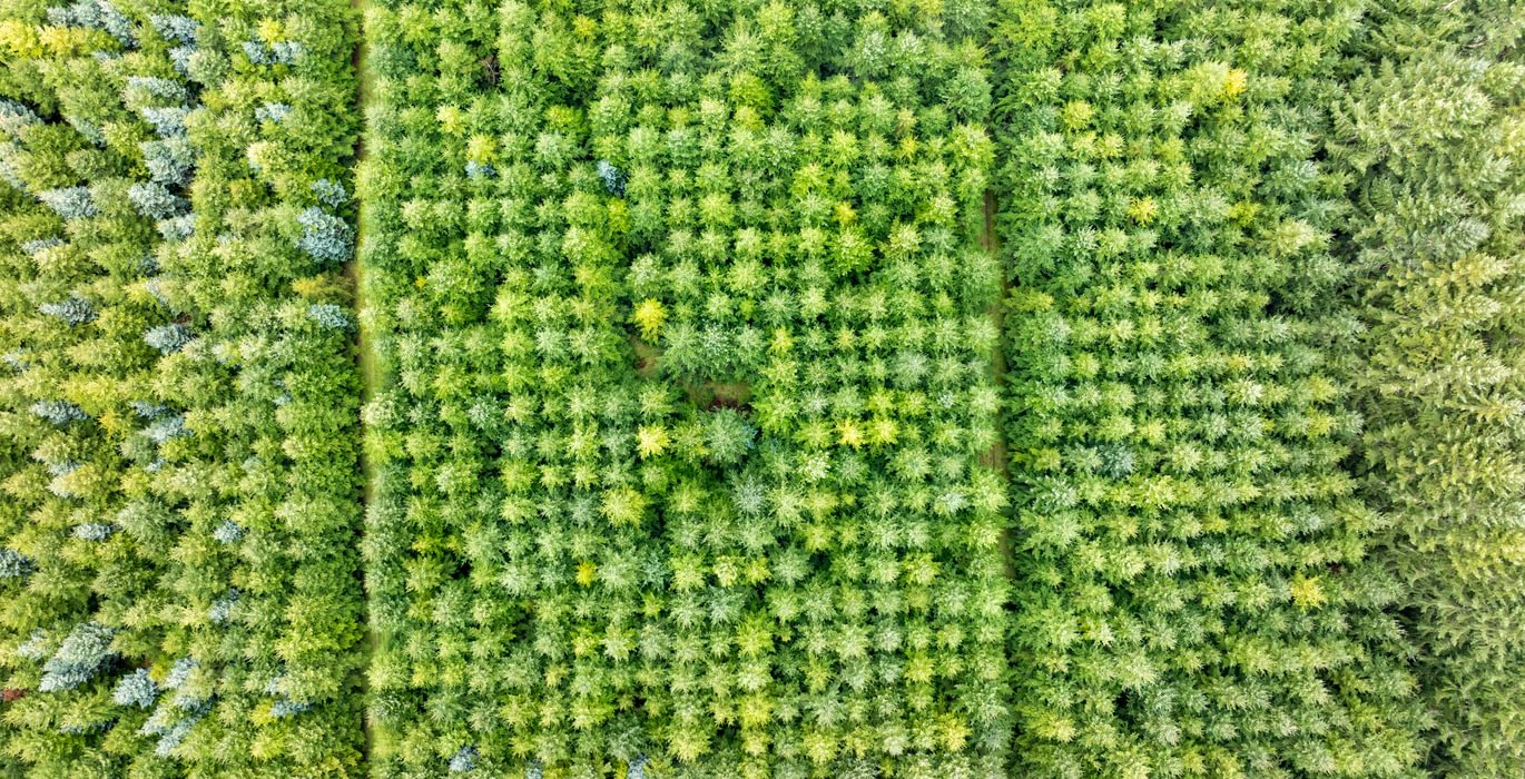 545 DJI 20260222111806 0067 D HLK