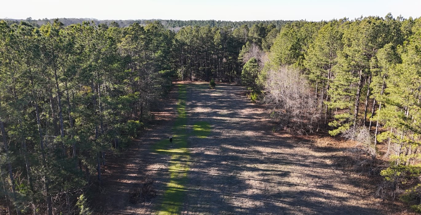 546 DJI 20260115155716 0100 D