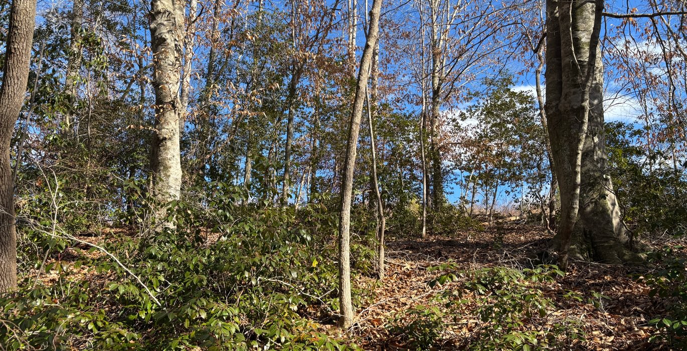 546 IMG 4584
