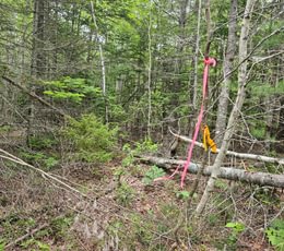 546 T7 South boundary line