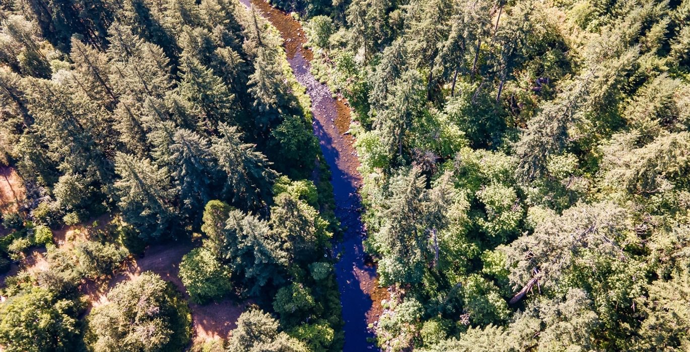 547 DJI 0967 HDR25